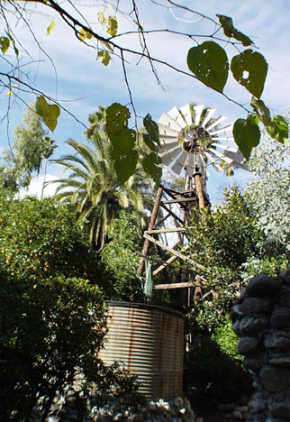Rubel Pharm's 1901 Aermotor windmill, brought from Lompoc in 1970.